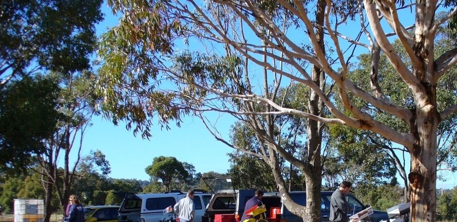 The tranquil scene in the pits at Waroona.